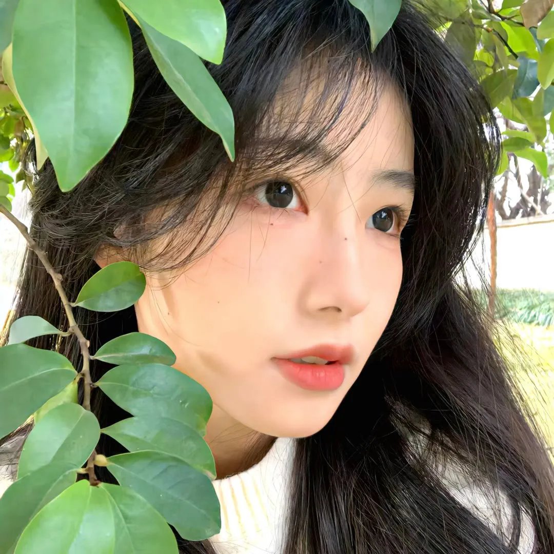 第41号女囚房